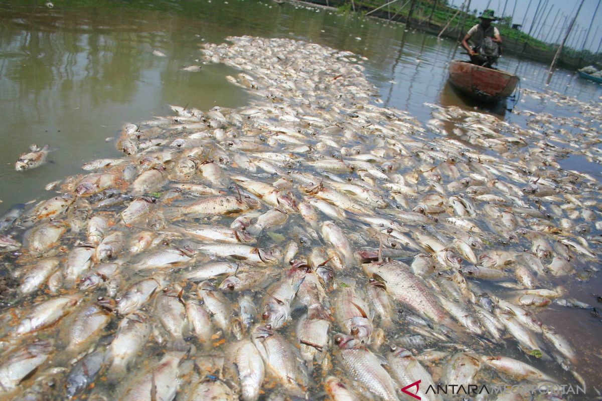Petugas DLH Bekasi identifikasi pencemaran sungai Kalor