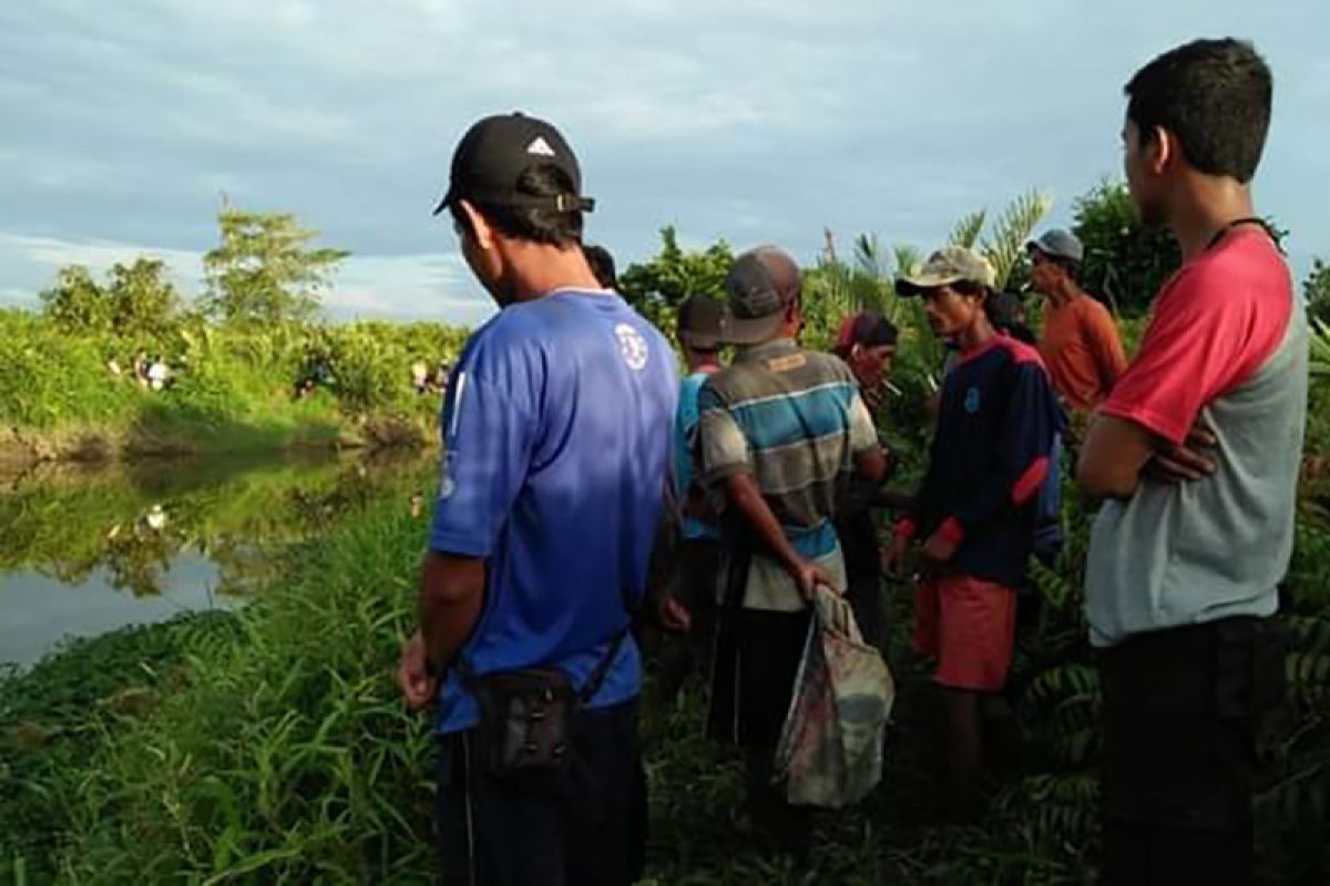 Warga Mukomuko hilang setelah diserang buaya