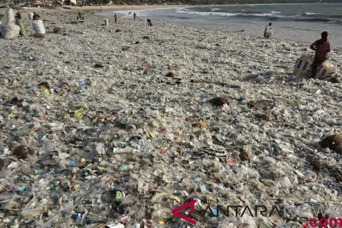 "Miss Pure International" promosikan Bali perangi sampah plastik