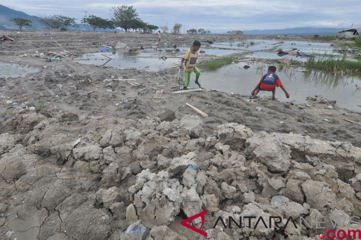 Pemerintah perlu bangun pusat studi bencana di Sulteng