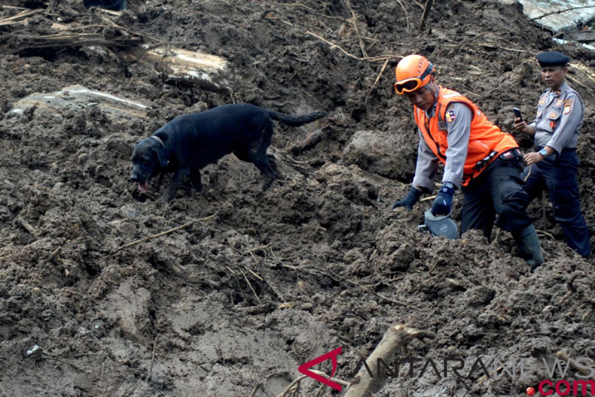 15 korban banjir bandang Kabupaten Jayapura ditemukan dengan bantuan anjing pelacak Tim K-9