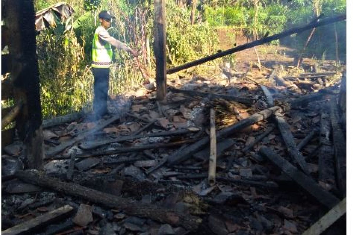 Kandang Terbakar, Empat Sapi Mati