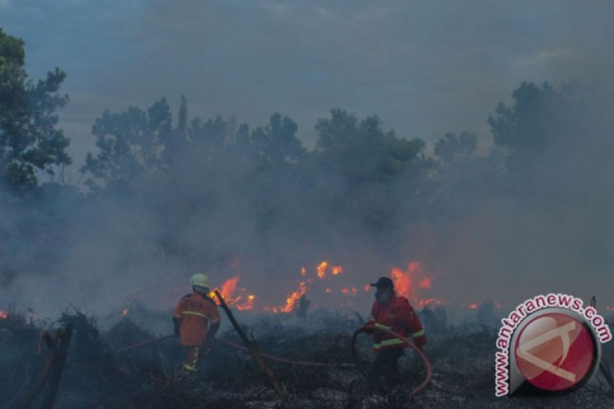 Asap karhutla di Riau mulai menyasar daerah perbatasan Sumut