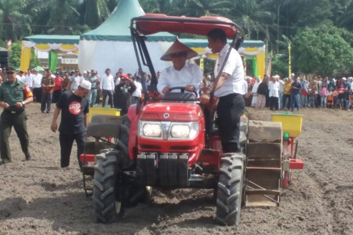 Gubernur Sumut: Kita ingin bisa ekspor jagung