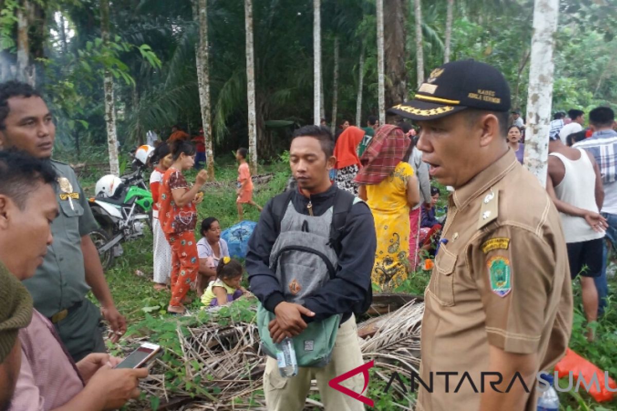 Kades Kualaberingin minta lumba-lumba putih jangan diganggu