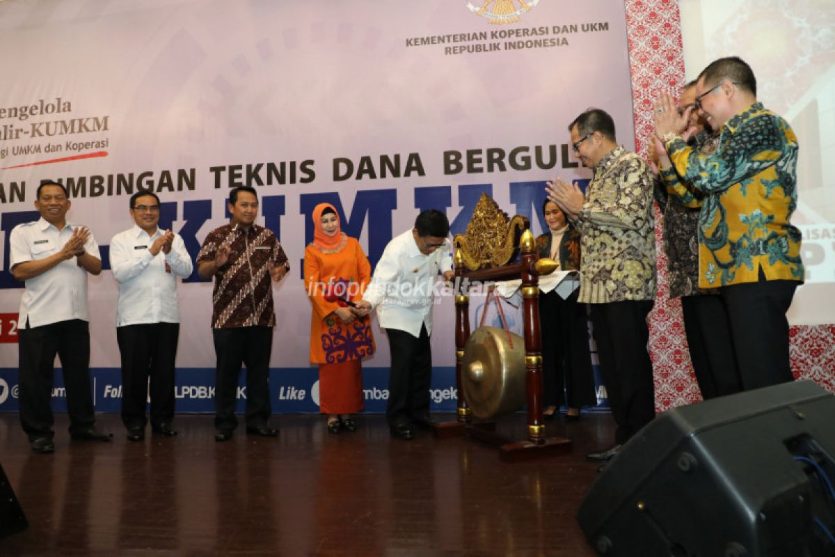 Capaian Penerimaan Bantuan Dana Bergulir LPDB-KUMKM