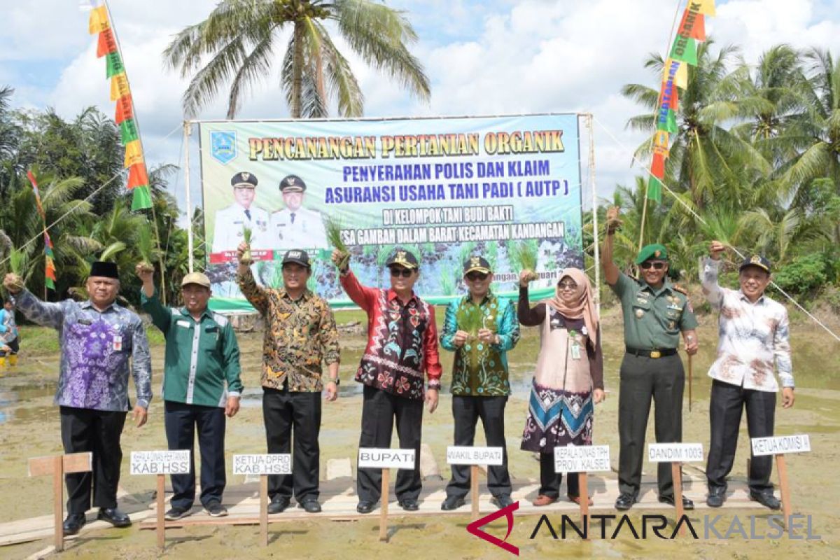 HSS canangkan Gambah Dalam Barat kawasan pertanian organik