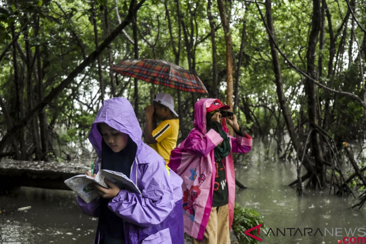 Kehati nilai ada perbaikan habitat di hutan lindung Angke Kapuk