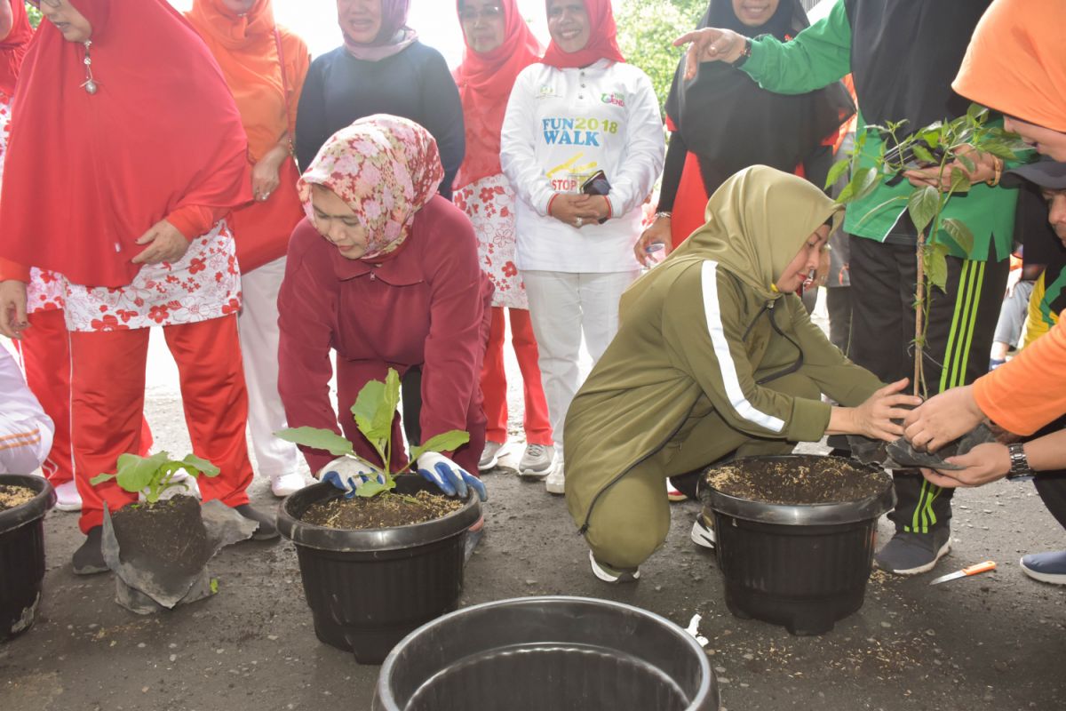 PKK Sumut canangkan gerakan penanaman buah dan sayur dalam pot