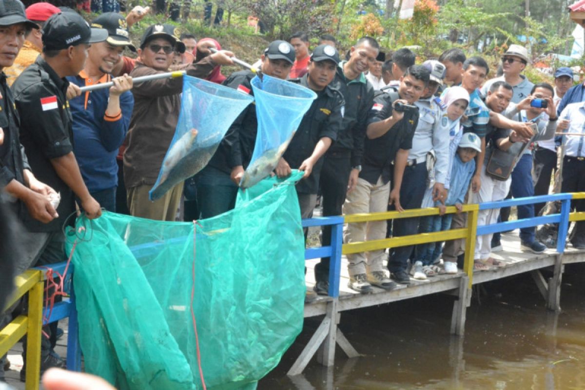 Gubernur Jambi panen ikan semah di kolam BUMDesa