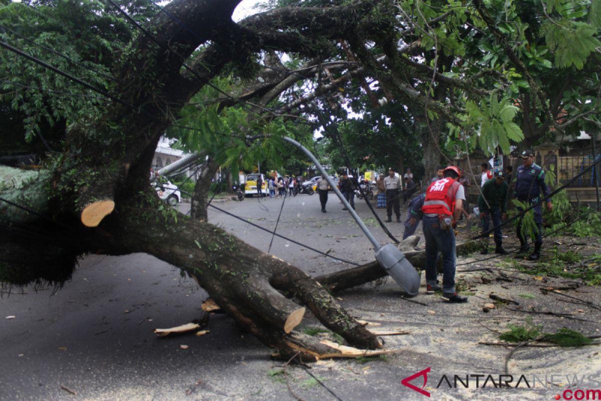 Papan reklame besar roboh tertiup angin kencang di Batu