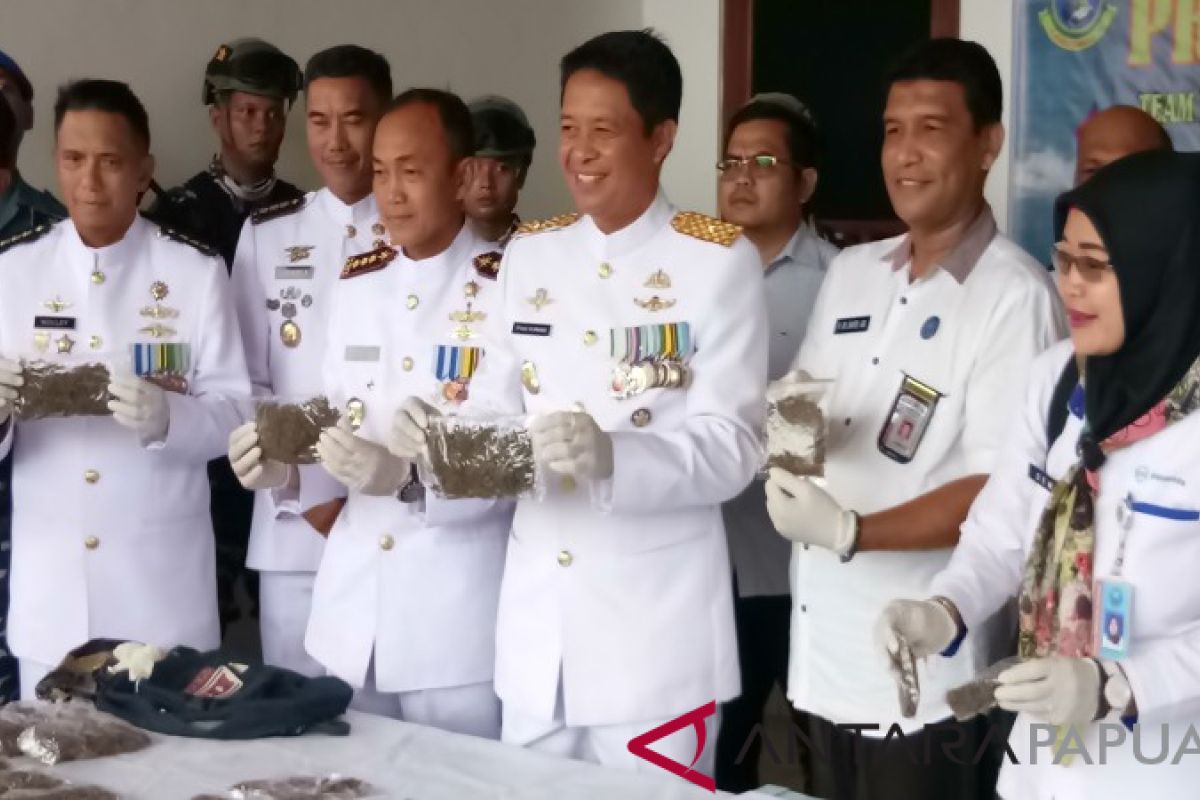 Lantamal X Jayapura amankan 1,5 KG ganja