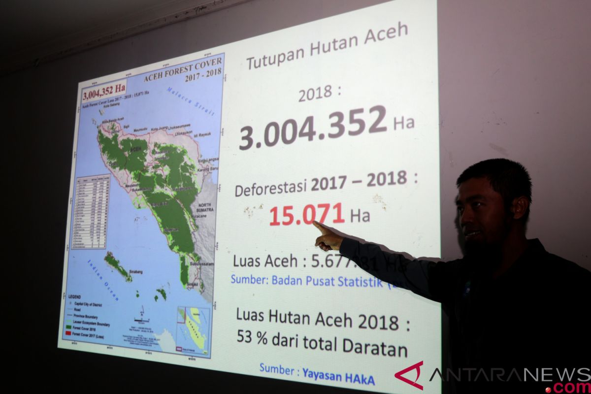 Hutan Aceh berkurang 15.071 hektare sepanjang 2018
