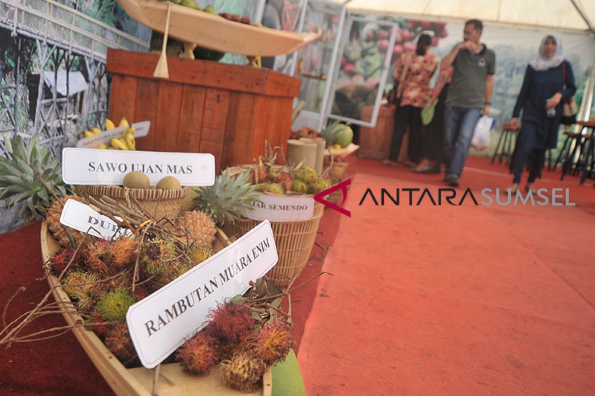 Gubernur Sumsel minta petani kembangkan buah lokal