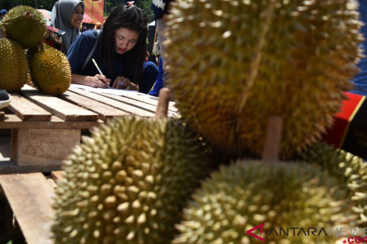 Tips memilih buah durian