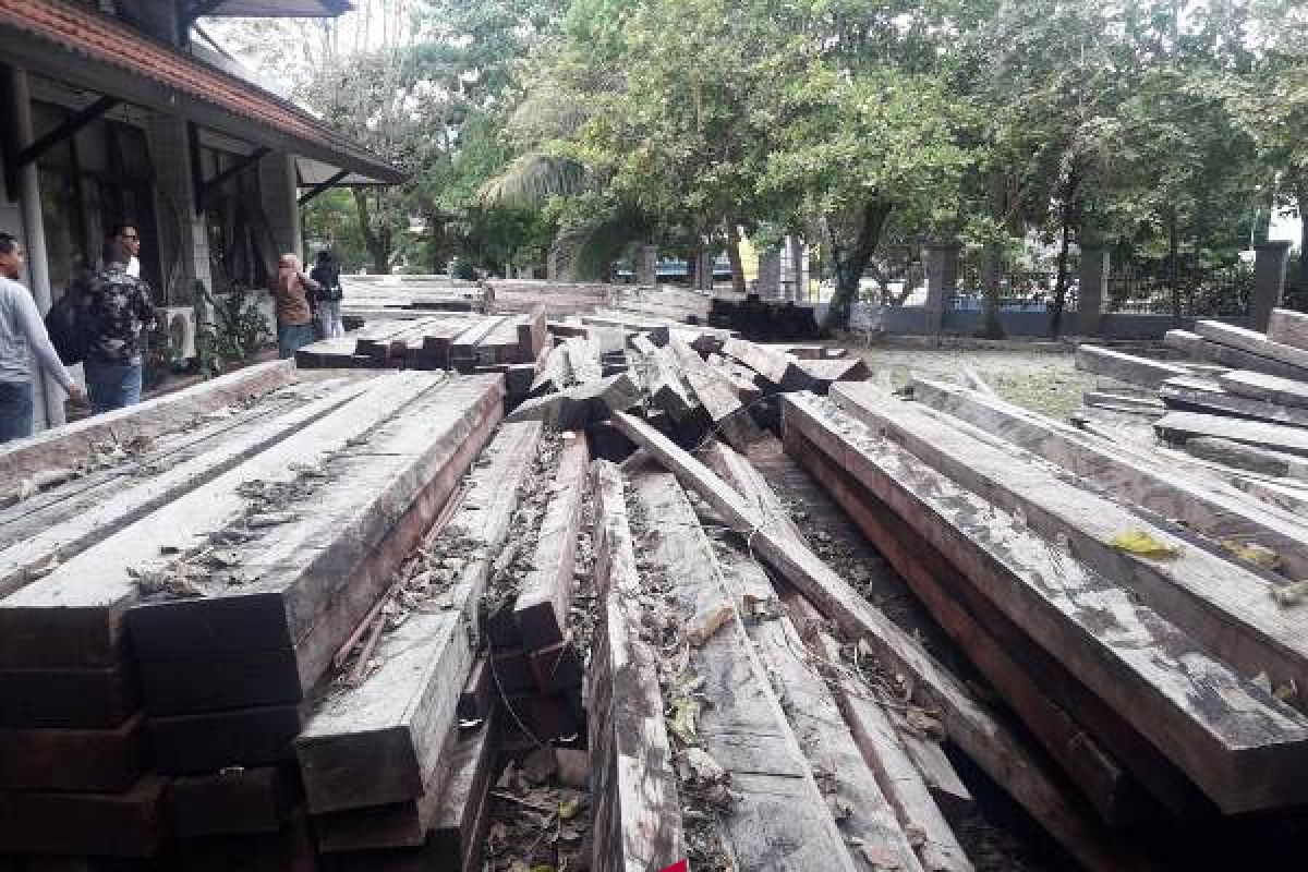 PPNS Dishut Papua tangani 1.400 meter kubik kayu sitaan