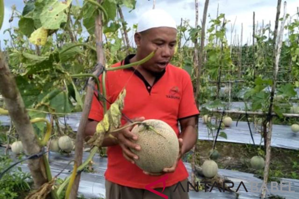 Sumsel dorong tiap kabupaten memiliki produk hortikultura unggulan