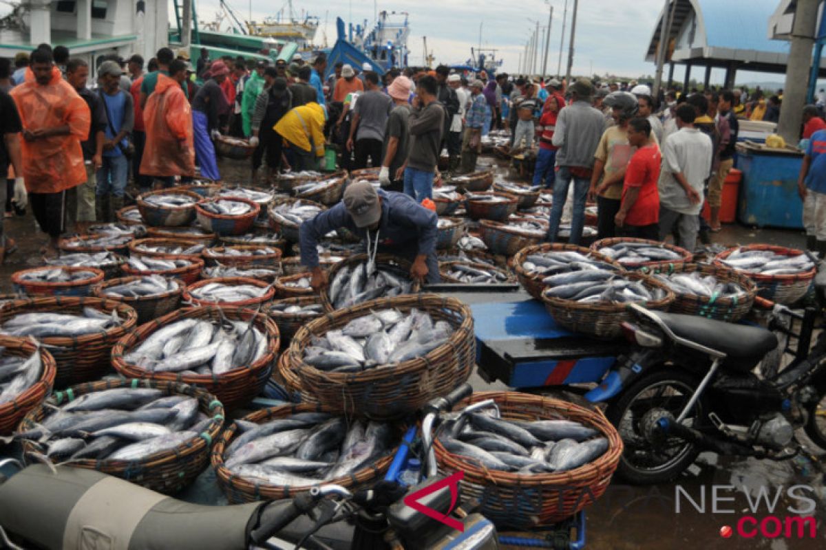 Stok ikan Kaltim aman sambut Tahun Baru 2020