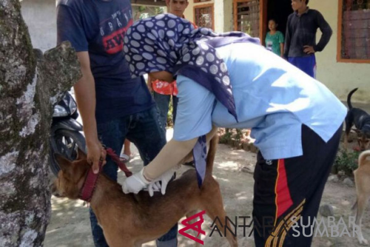 Pemko Padang terus pantau kondisi 22 korban gigitan anjing rabies