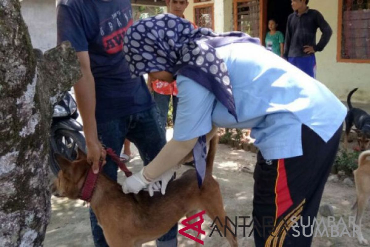 Kasus gigitan hewan penular rabies meningkat di Agam