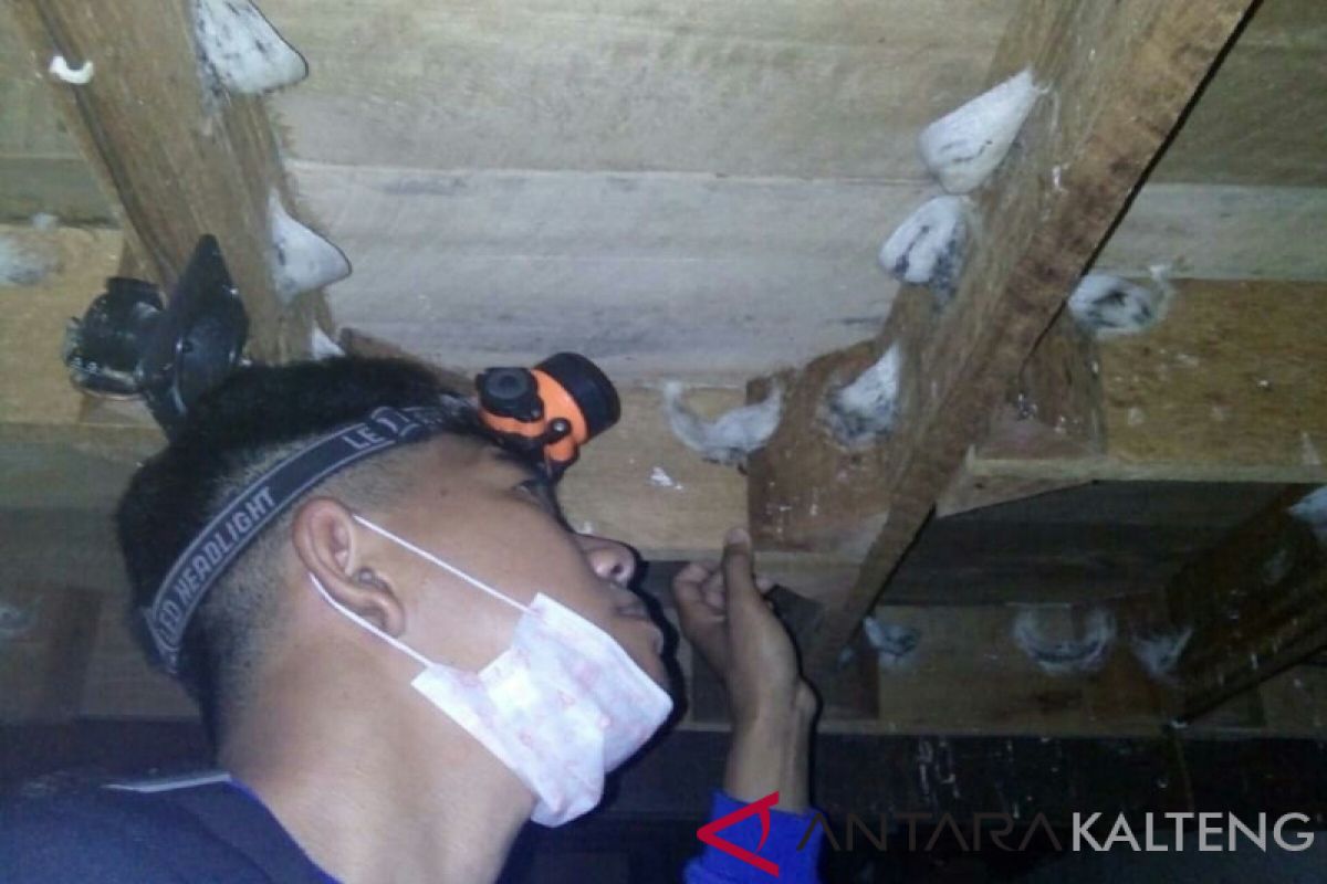 Kutim kesulitan pungut pajak walet