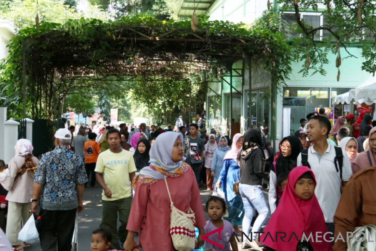 Pengunjung Kebun Raya Bogor 10.613 di awal tahun 2019