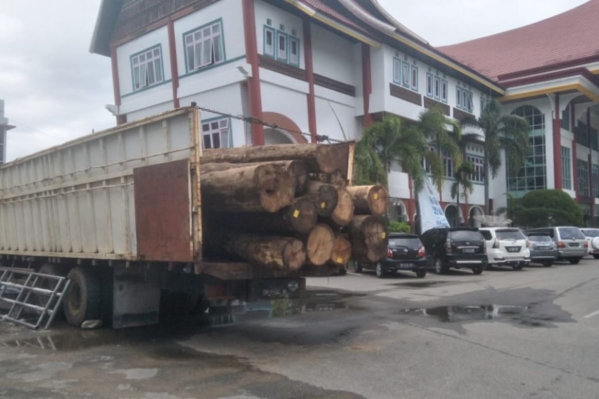 KLHK telah periksa sejumlah saksi terkait dugaan pembalakan liar di Pesisir Selatan