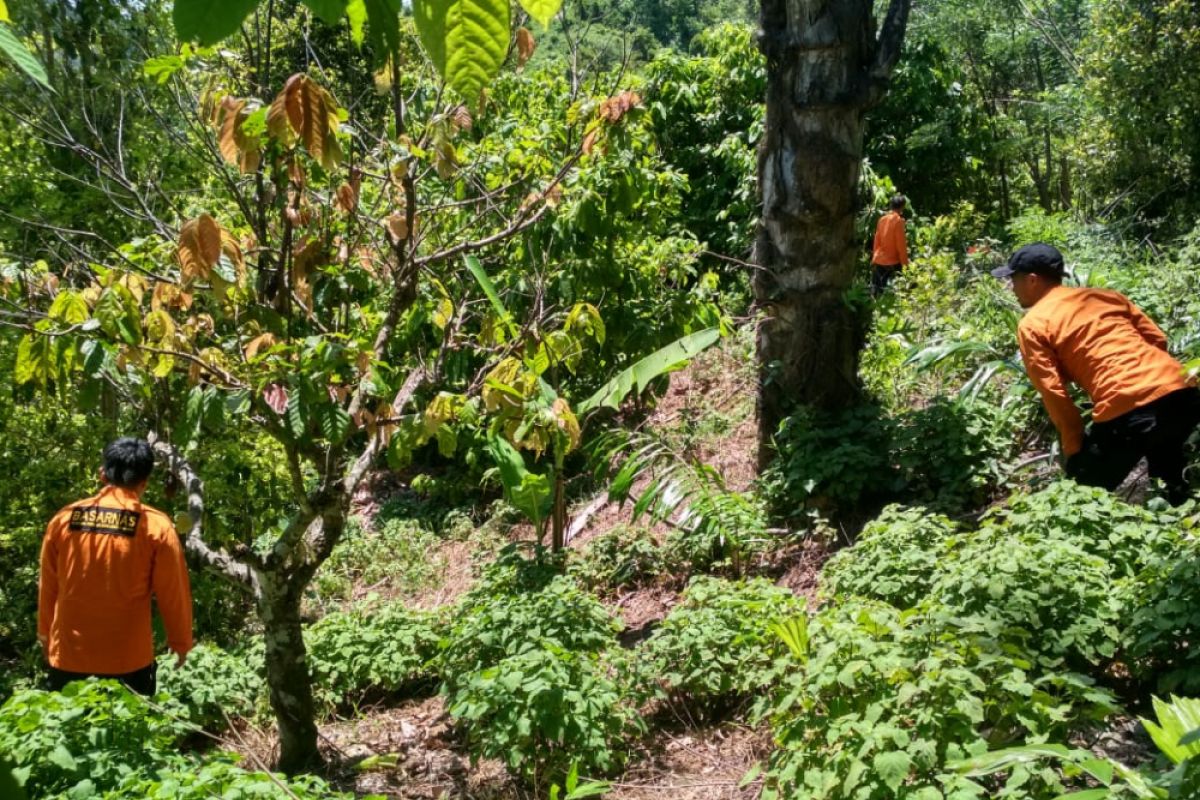 Dihentikan, pencarian warga hilang di hutan Kolaka