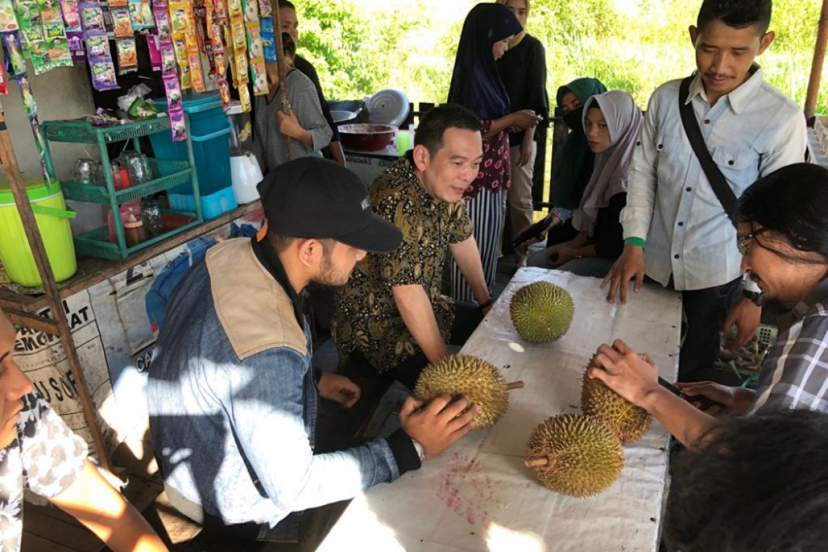 Dorong pengelolaan optimal durian Kalbar