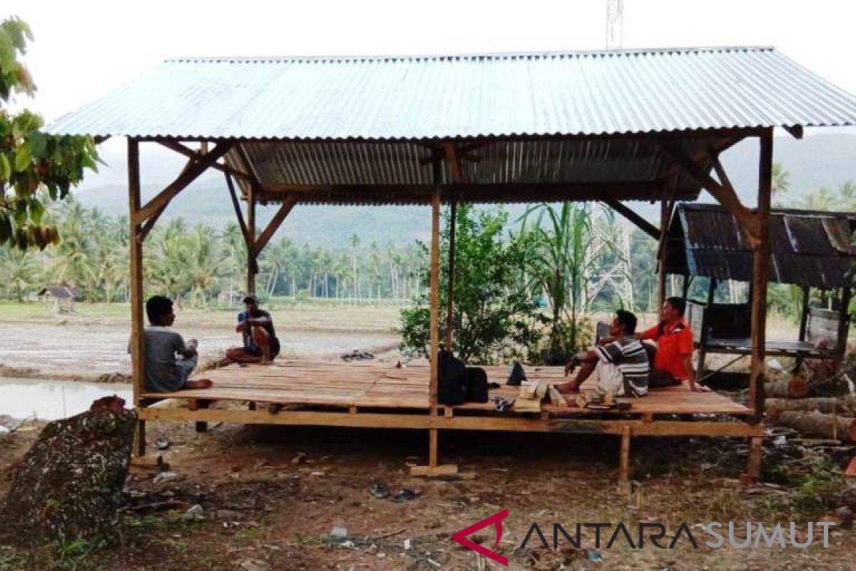 Polbangtan Medan bangun saung tani di Tapanuli Selatan