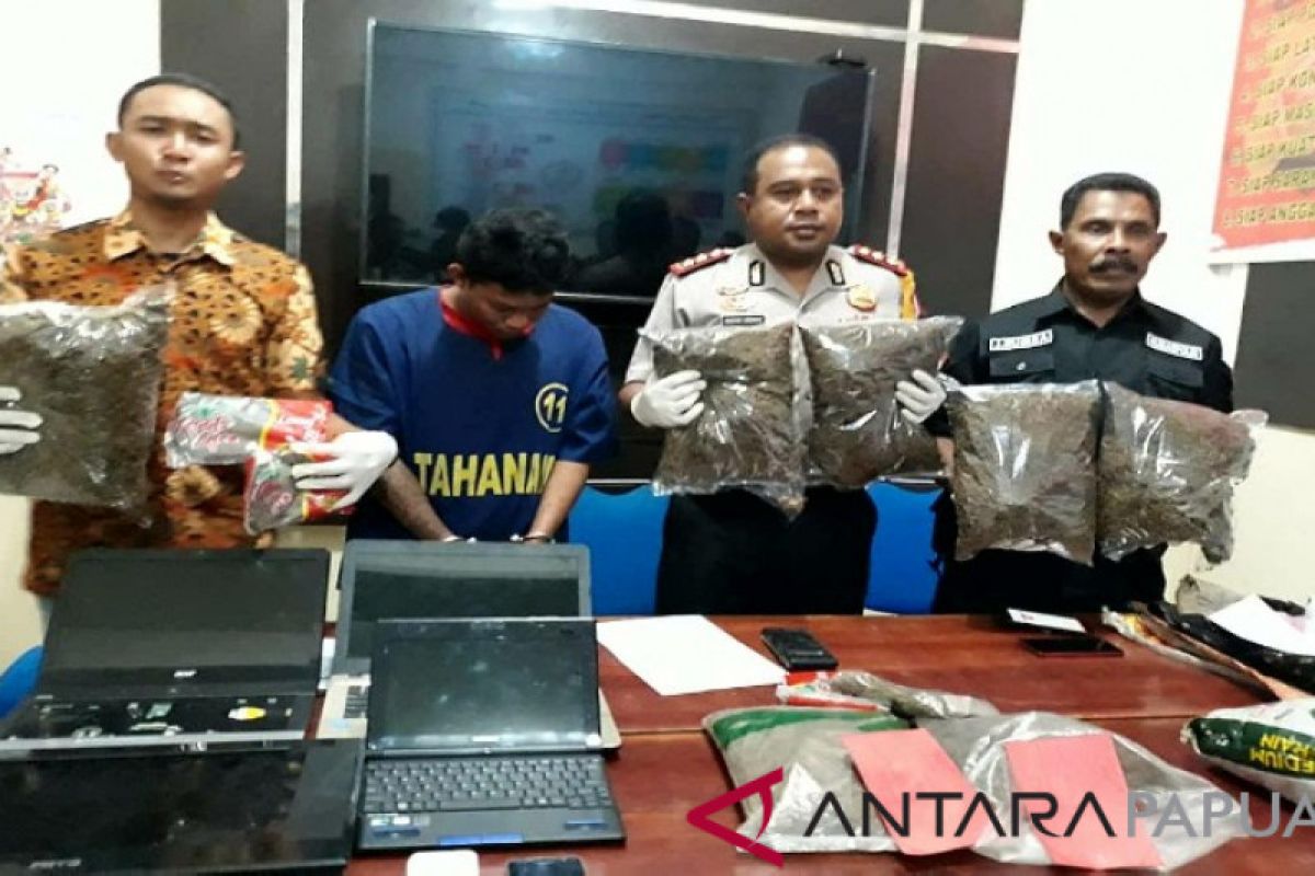 Polres Jayapura Kota amankan lima KG ganja asal PNG