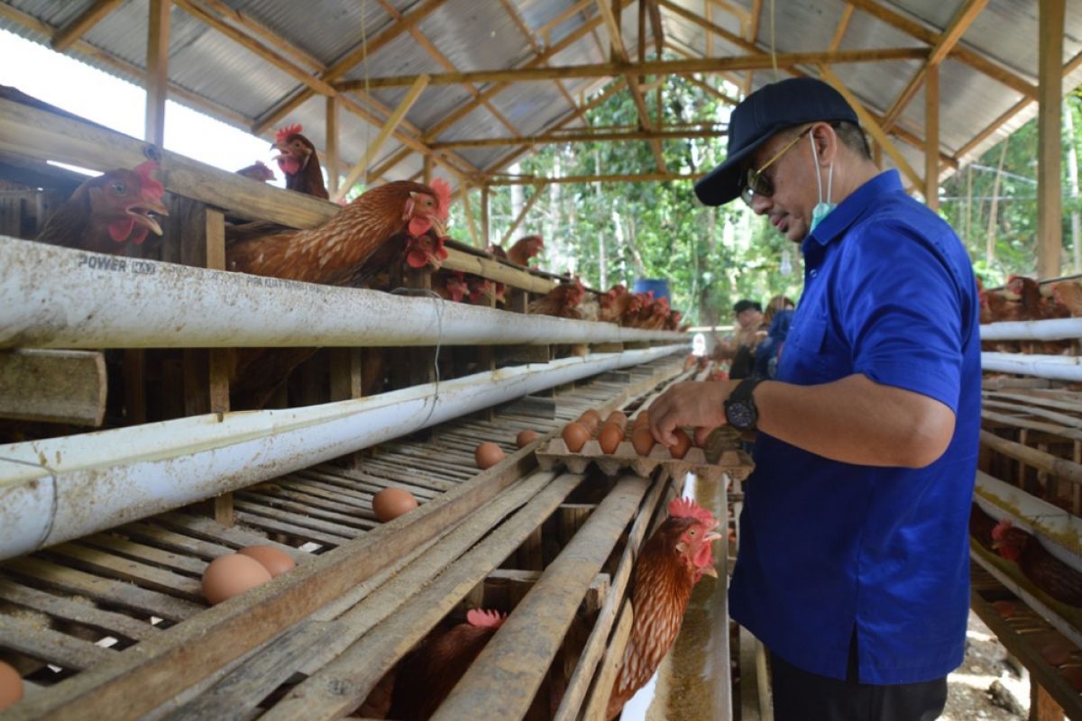 Bupati Apresiasi Pengembangan BUMDes Ternak Ayam Petelur