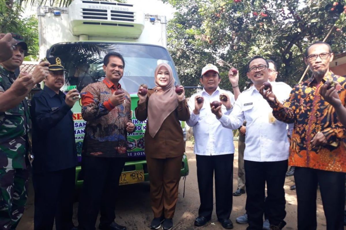 Banten Ekspor Manggis Tahap Awal Ke China 9,5 Ton