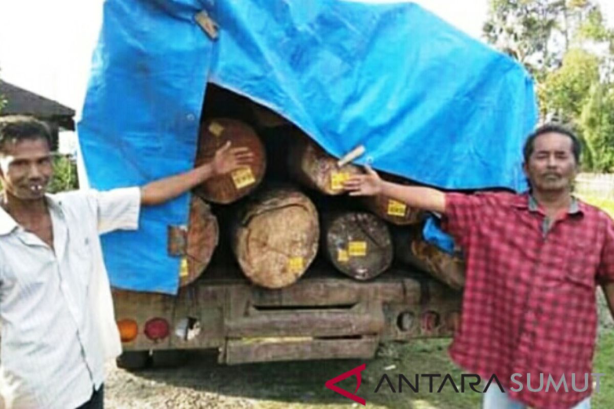Camat Arse: Ribuan kubik kayu yang ditahan warga sudah dikembalikan
