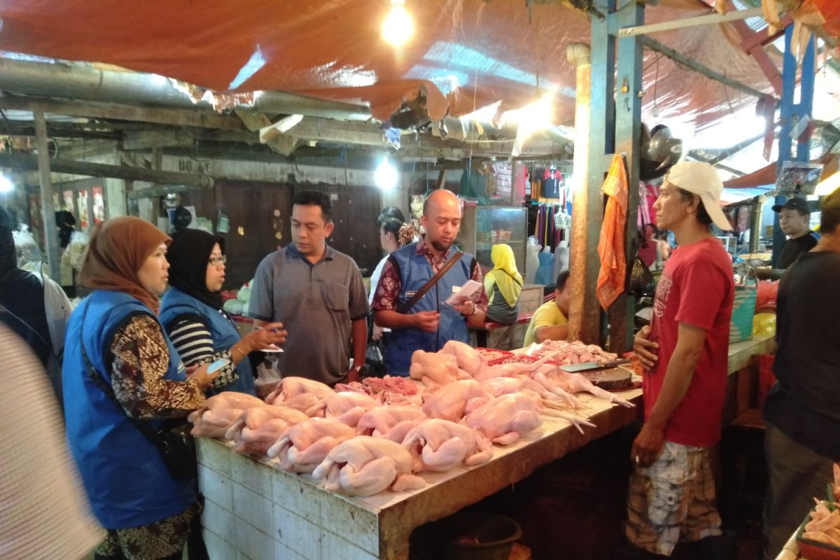 Disperindagkop Singkawang akan sidak peternak ayam