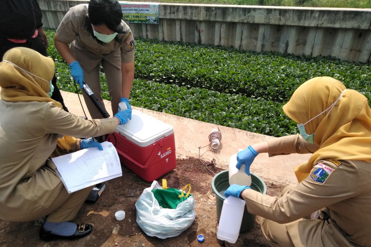 DKI menguji hasil air saringan eceng gondok