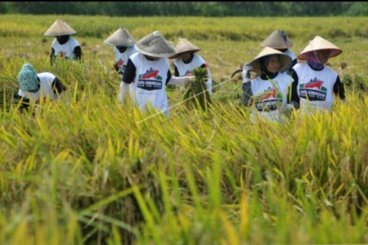 DPRD Penajam Beri Rapor Merah Dinas Pertanian