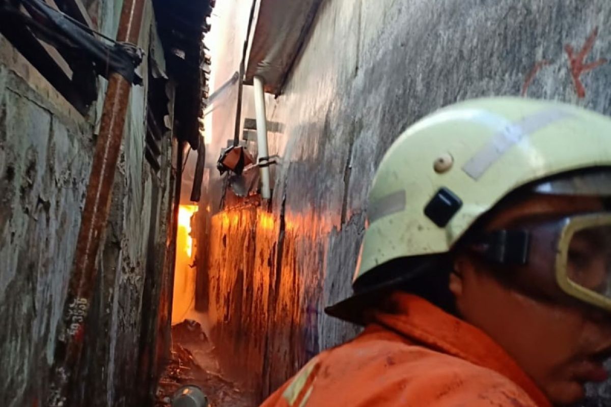 Petugas pemadam kebakaran padamkan api di Tambora