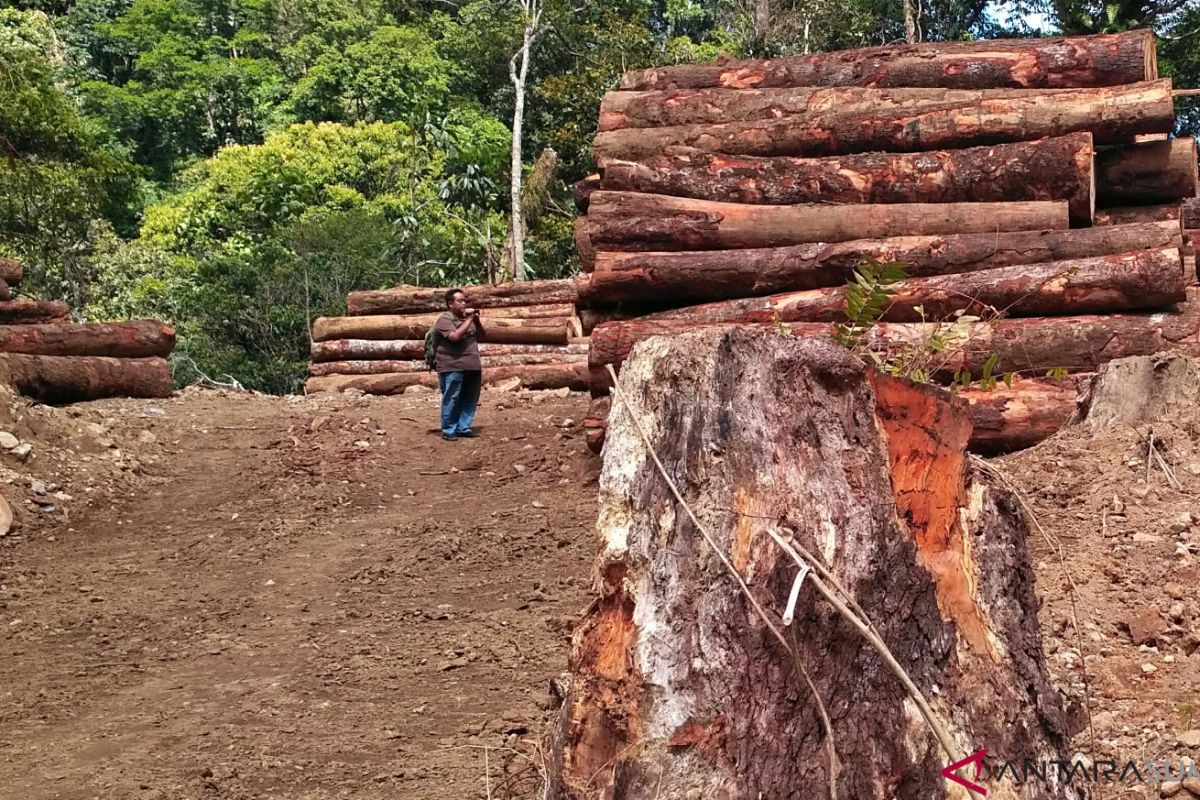 Polisi imbau kelompok tani tangguhkan penebangan hutan meski berizin