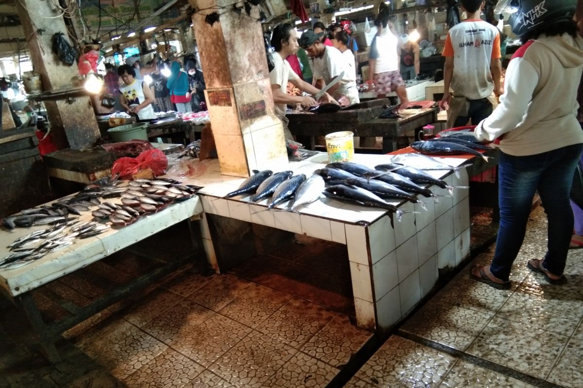 Harga ikan segar di Jayapura tembus Rp200 ribu/ekor