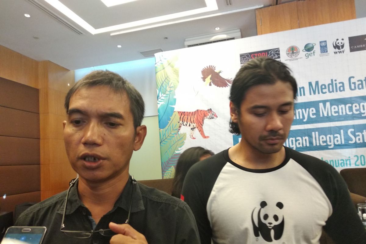 Populasi trenggiling di Indonesia  terancam punah