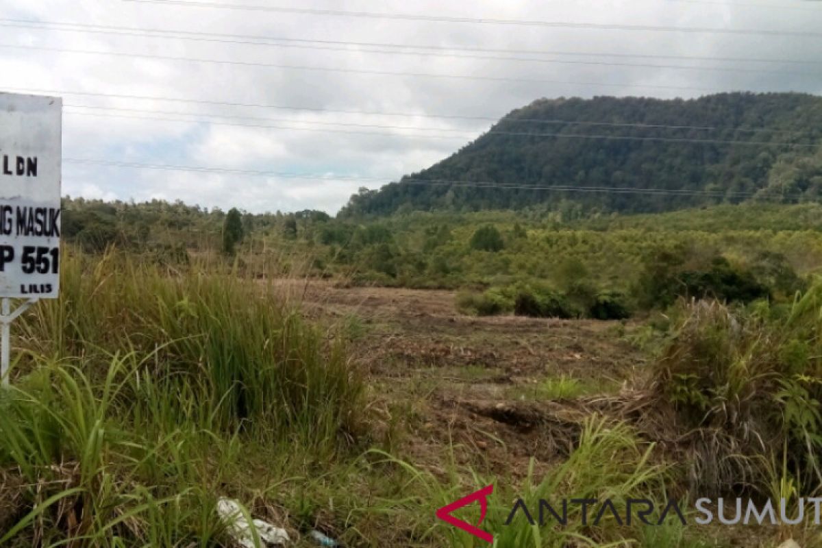 Pekerja hadang peliputan penebang kayu kawasan hutan Sitahoan