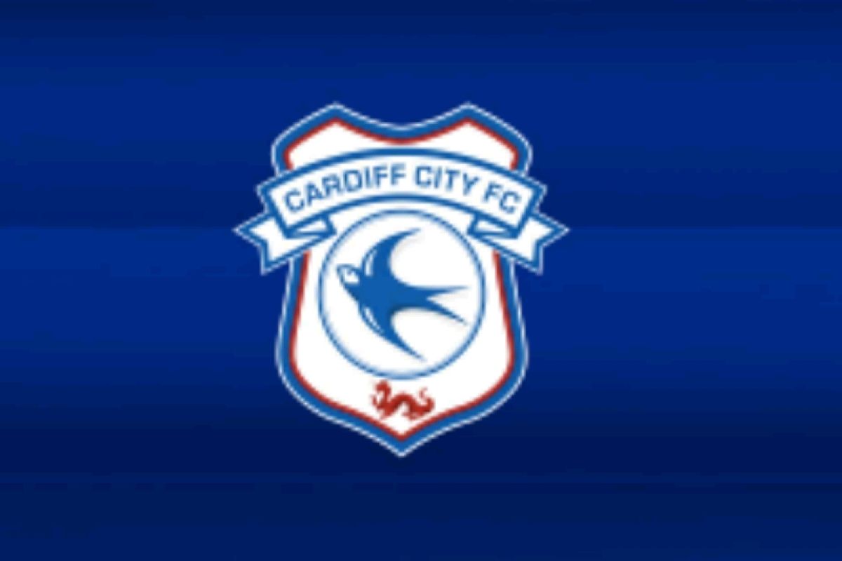 Cardiff City berharap kabar positif soal nasib Sala