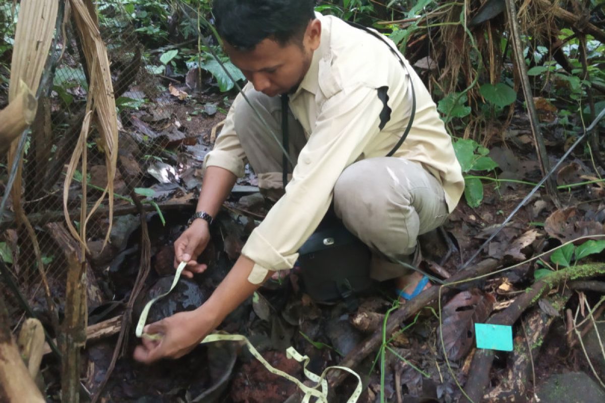 BKSDA Agam tingkatkan pengawasan Cagar Alam Maninjau