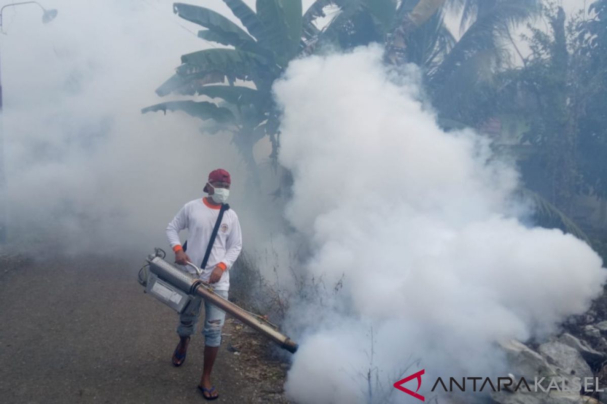 South Kalimantan on dengue alert, 82 cases found