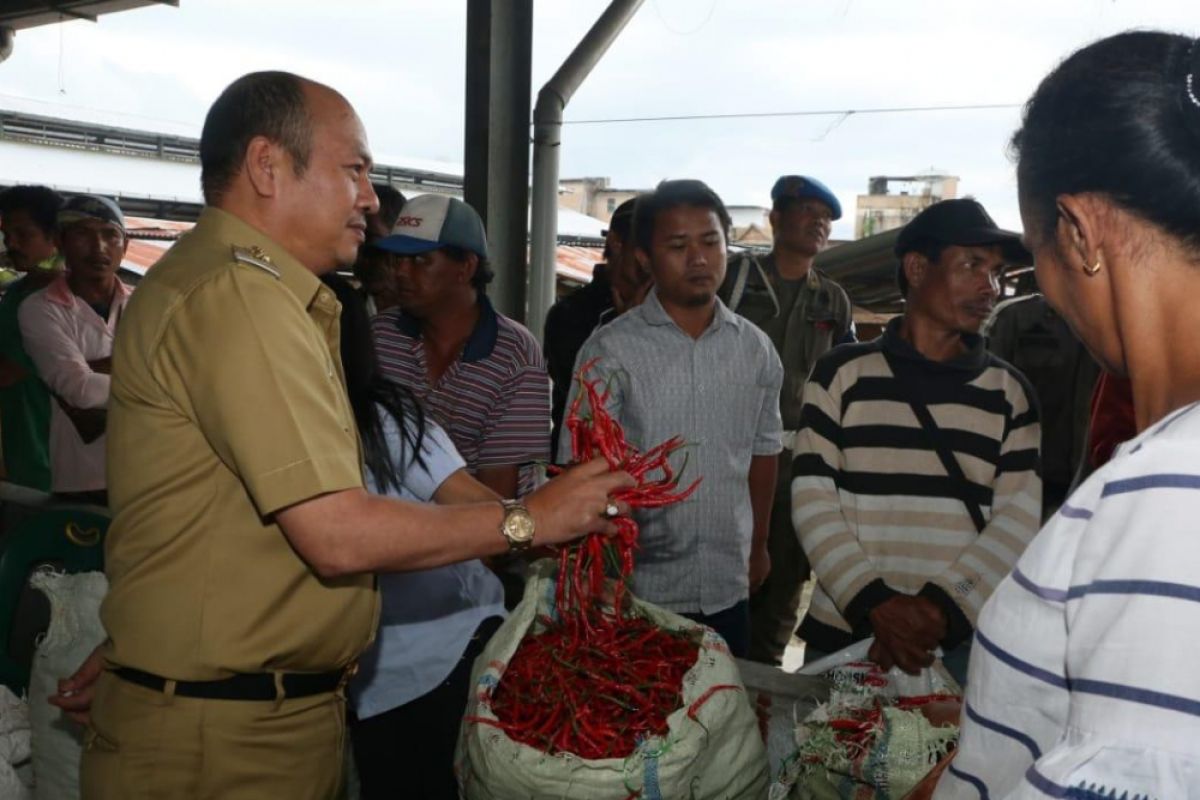 Pemkab Taput tampung hasil panen cabai merah atasi harga anjlok