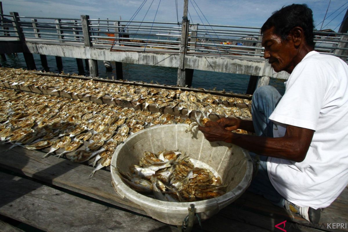 ISEI Dorong Kepri Kembangkan Industri Hasil Laut