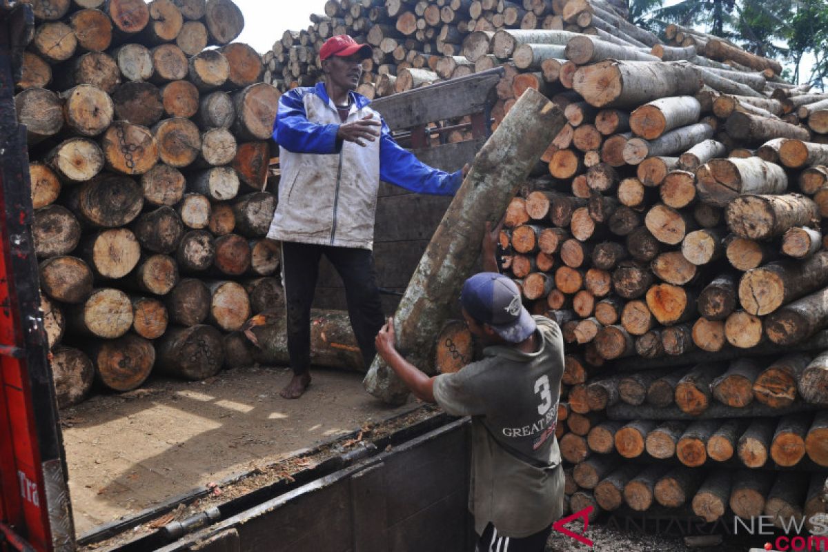 Pabrik kayu lapis di Temanggung kurangi jam kerja  karyawan