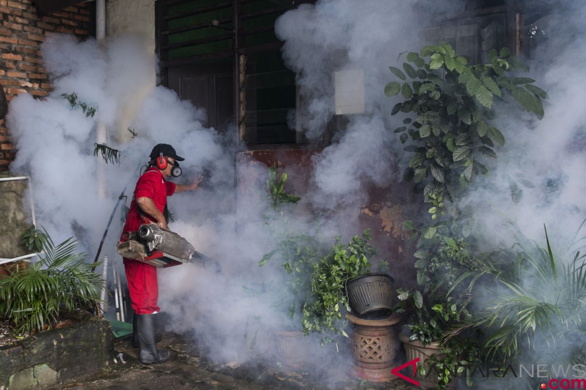 North Maluku health office reports 112 residents contracted dengue fever