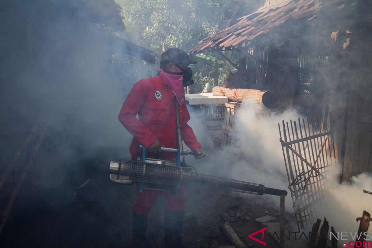 5 orang meninggal akibat DBD di Manggarai Barat NTT